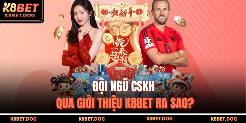 Đội ngũ CSKH qua giới thiệu K8BET ra sao?