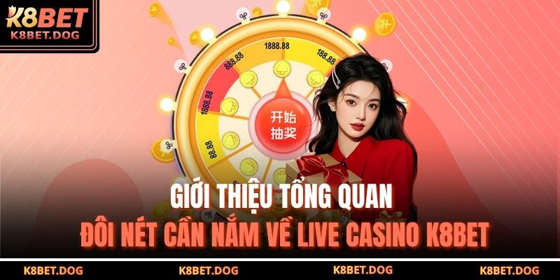 Giới thiệu tổng quan đôi nét cần nắm về Live casino K8BET